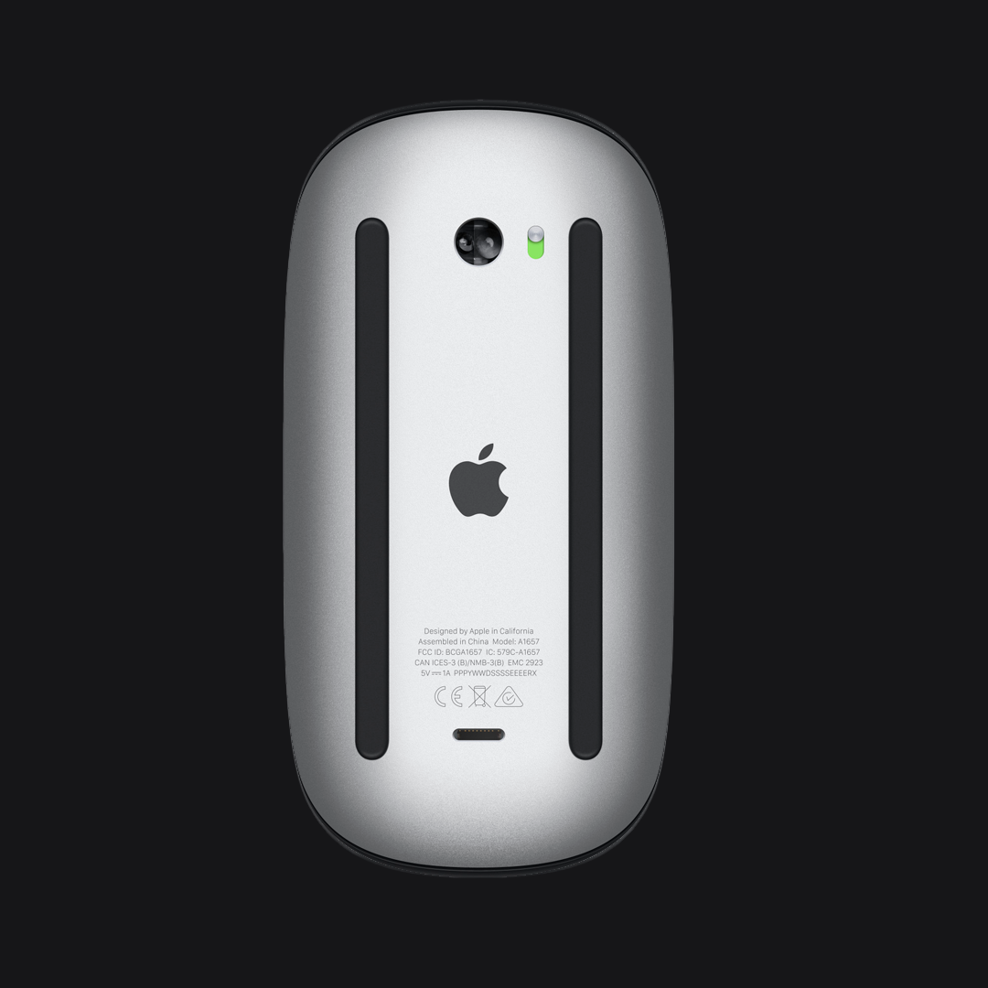 Magic Mouse 2 - Negro