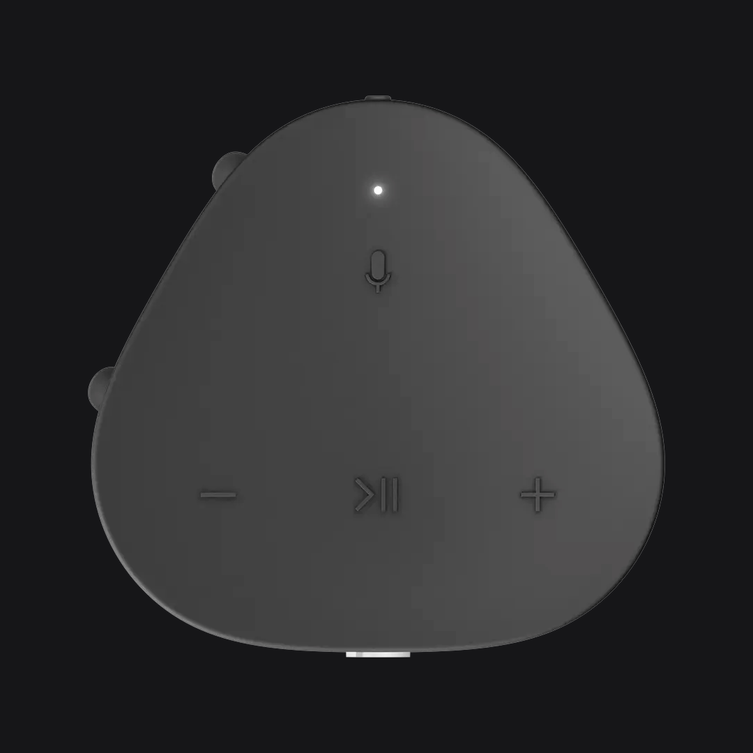 SONOS ROAM